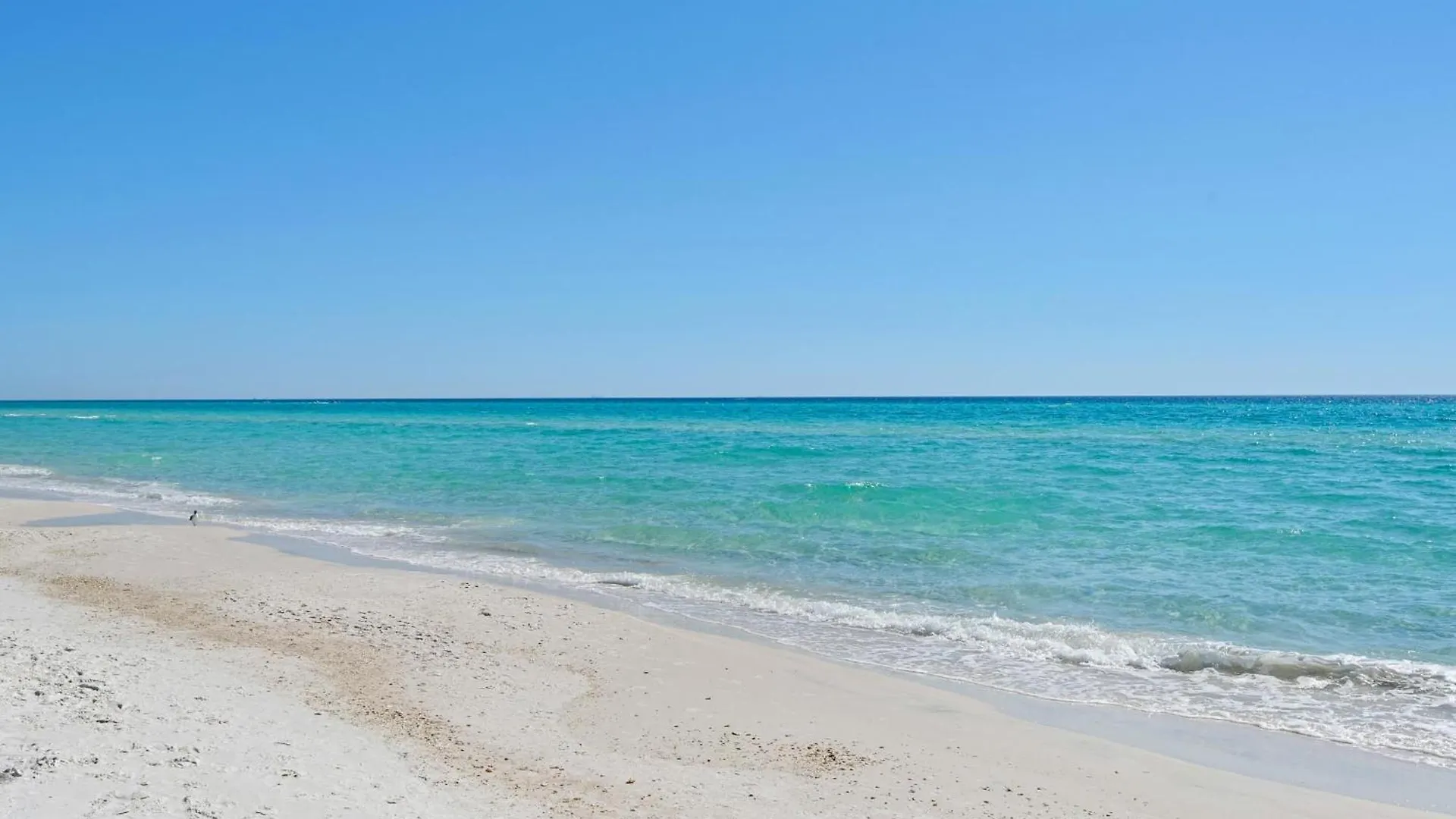 Sunbird 807E Villa Panama City Beach United States